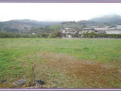 山梨県笛吹市 春日居町駅10分 農地 105万円の競売物件情報 #3