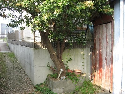 (値下げ) 兵庫県洲本市 戸建て 470万円の官公庁公売物件情報 #18