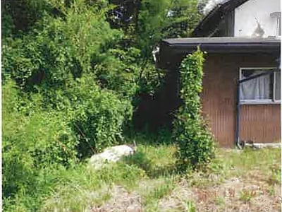(値下げ) 長野県大町市 安曇沓掛駅22分 戸建て 197万円の競売物件情報 #5
