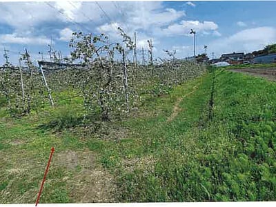 長野県松本市 森口駅9分 農地 175万円の競売物件情報 #8