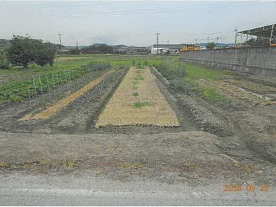 (値下げ) 奈良県御所市 玉手駅23分 農地 107万円の競売物件情報 #6