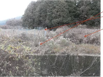 福岡県福岡市早良区 博多南駅 土地 613万円の競売物件情報 #6