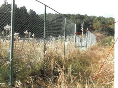 福岡県福岡市早良区 博多南駅 土地 613万円の競売物件情報 #7
