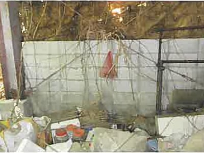 熊本県荒尾市 荒尾駅 戸建て 286万円の競売物件情報 #38