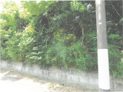(値下げ) 茨城県小美玉市 羽鳥駅 土地 61万円の競売物件情報 #2