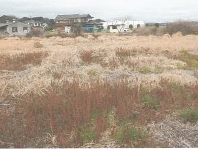 茨城県北茨城市 大津港駅20分 農地 63万円の競売物件情報 #4