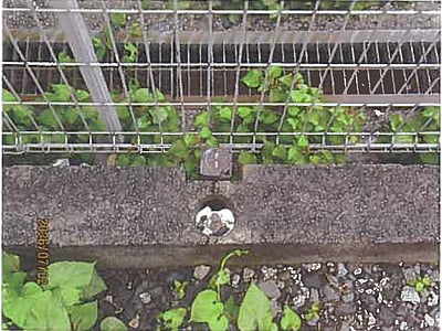 長野県岡谷市 下諏訪駅26分 戸建て 1,370万円の競売物件情報 #12