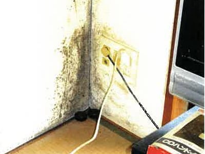 埼玉県新座市 新座駅11分 マンション「ダイアパレスグランウィング新座」956万円の競売物件情報 #5