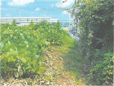 埼玉県比企郡滑川町 つきのわ駅6分 土地 720万円の競売物件情報 #6