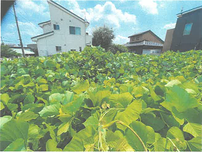 埼玉県比企郡滑川町 つきのわ駅6分 土地 720万円の競売物件情報 #9