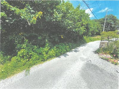 埼玉県比企郡小川町 小川町駅13分 土地 145万円の競売物件情報 #2