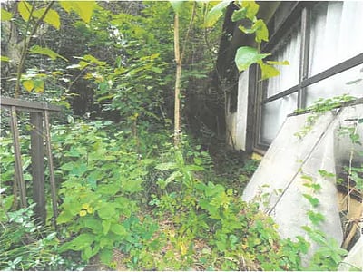 埼玉県比企郡嵐山町 武蔵嵐山駅15分 戸建て 121万円の競売物件情報 #15