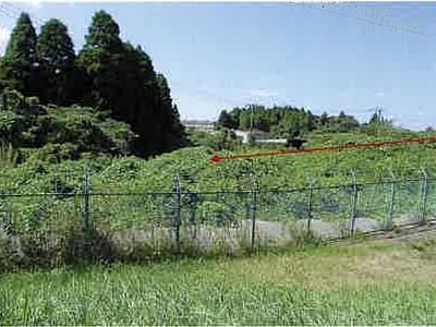 千葉県長生郡長柄町 新茂原駅 土地 4,679万円の競売物件情報 #12
