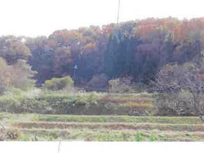 福島県須賀川市 農地 6万3,000円の競売物件情報 #15