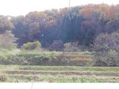 福島県須賀川市 農地 6万円の競売物件情報 #14