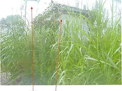 青森県青森市 津軽新城駅9分 戸建て 290万6,000円の競売物件情報 #8