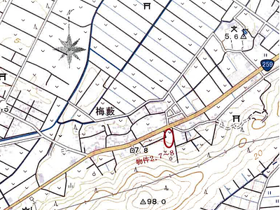愛知県田原市 農地 52万5,000円の競売物件情報 #5