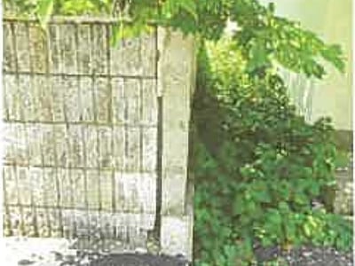 滋賀県長浜市 田村駅21分 戸建て 174万円の競売物件情報 #4