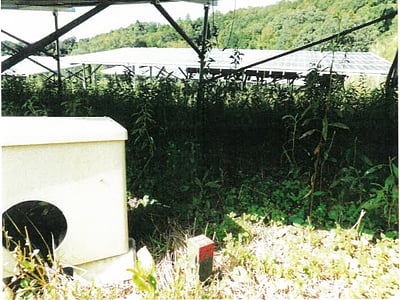 京都府舞鶴市 松尾寺駅7分 土地 197万円の競売物件情報 #3