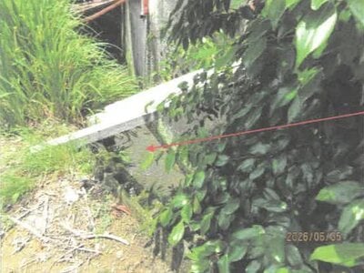 徳島県勝浦郡勝浦町 立江駅 土地 68万円の競売物件情報 #3