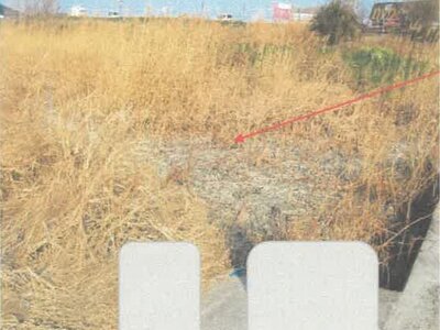 徳島県板野郡松茂町 教会前駅21分 農地 267万円の競売物件情報 #2