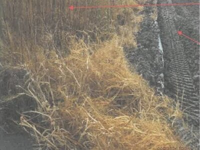 徳島県板野郡松茂町 教会前駅21分 農地 267万円の競売物件情報 #3