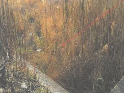 徳島県板野郡松茂町 教会前駅21分 農地 267万円の競売物件情報 #4