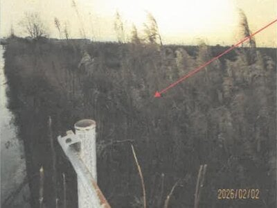 徳島県板野郡松茂町 教会前駅21分 農地 267万円の競売物件情報 #5