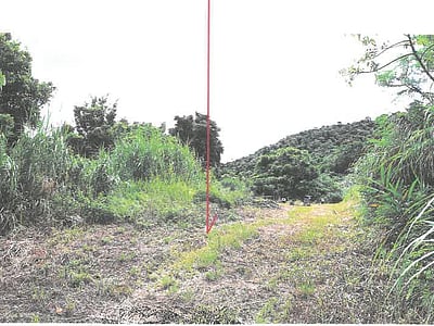 鹿児島県大島郡瀬戸内町 農地 11万4,000円の競売物件情報 #10