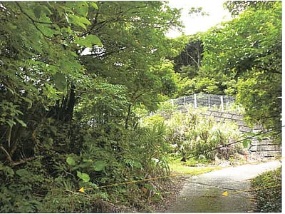 鹿児島県大島郡瀬戸内町 農地 11万4,000円の競売物件情報 #2