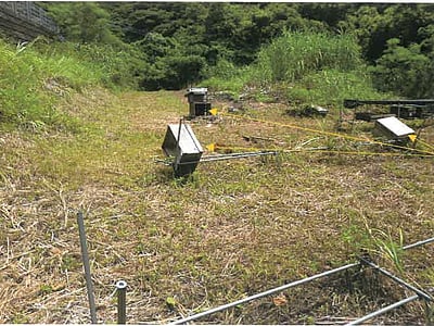 鹿児島県大島郡瀬戸内町 農地 11万4,000円の競売物件情報 #6