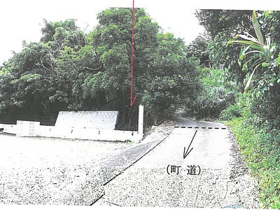 鹿児島県大島郡瀬戸内町 農地 11万4,000円の競売物件情報 #8