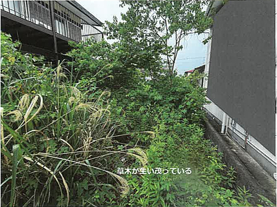 佐賀県佐賀市 鍋島駅23分 土地 569万円の競売物件情報 #3