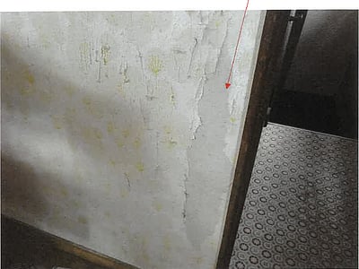 鹿児島県鹿児島市 神田(交通局前)駅16分 戸建て 356万円の競売物件情報 #15