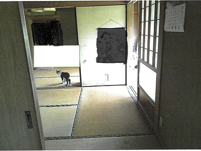 鹿児島県日置市 湯之元駅 戸建て 81万円の競売物件情報 #8