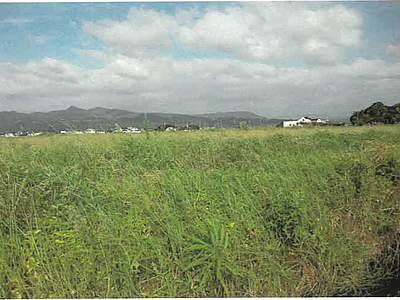 (値下げ) 鹿児島県出水市 米ノ津駅 農地 73万5,000円の競売物件情報 #3